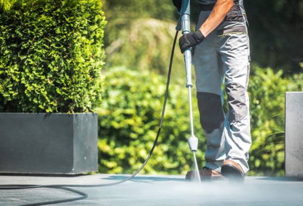 Best Roof Washing  in Delshire, OH