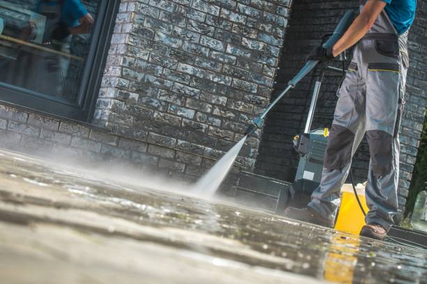 Animal Enclosure Cleaning in Delshire, OH
