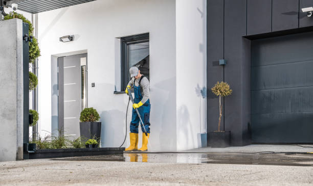Best Paint Preparation  in Delshire, OH
